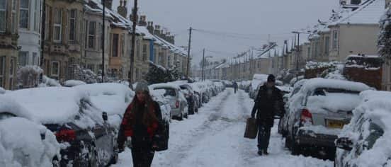 Which Pests to Watch Out For in Winter?